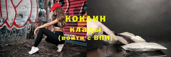 крисы Осинники