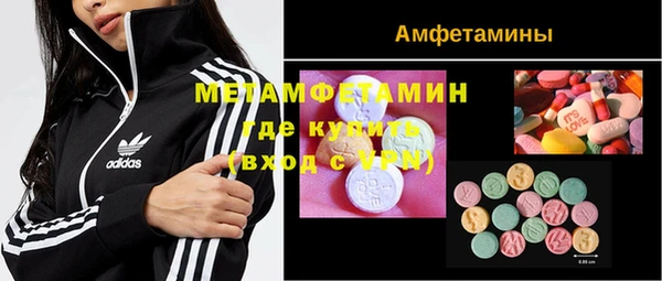 сатива Елабуга