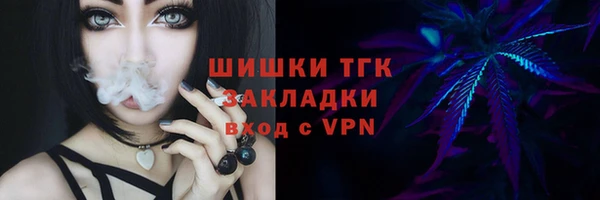 крисы Осинники