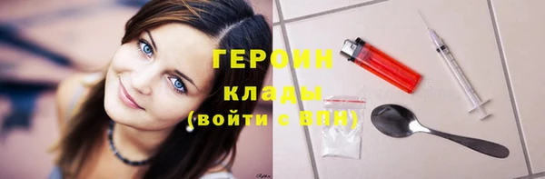индика Елизово