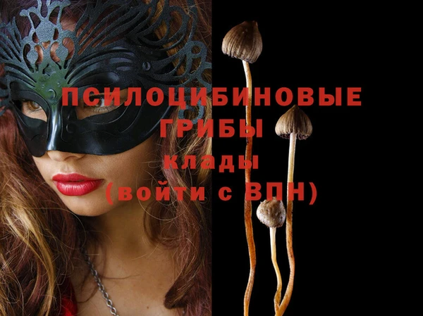 мескалин Осташков